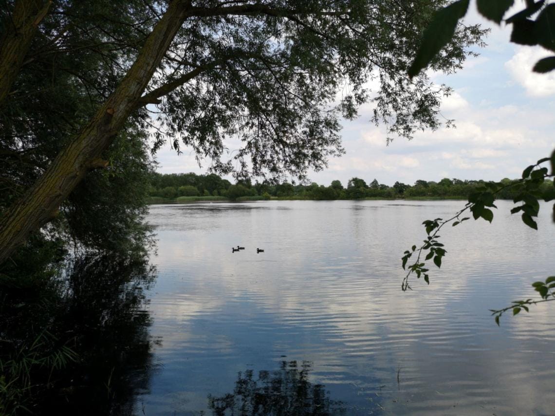 Cables lake - Embryo Angling