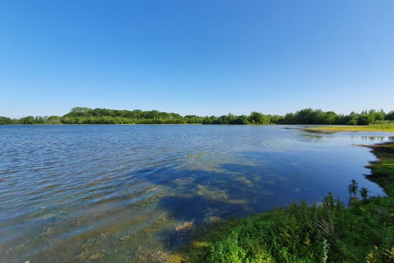 Broom Big Lake - Embryo Angling