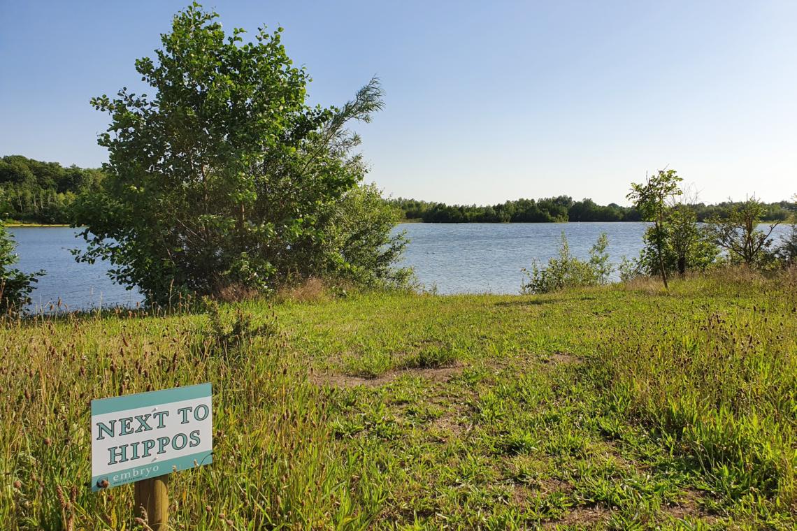 Broom Big Lake Embryo Angling