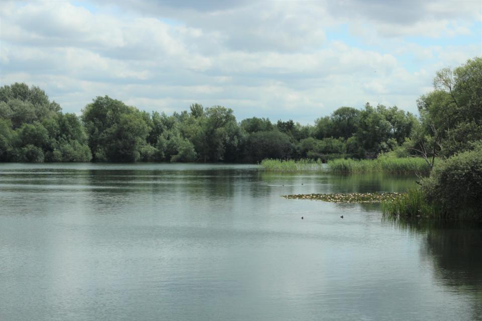 Stanton Harcourt - Embryo Angling