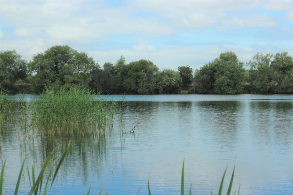 Stanton Harcourt - Embryo Angling