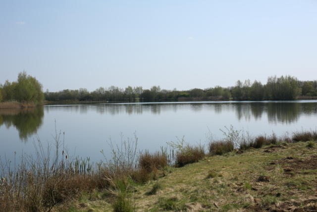 Snails Lake - Embryo Angling