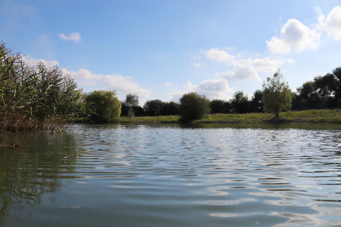 North Bank - Embryo Angling