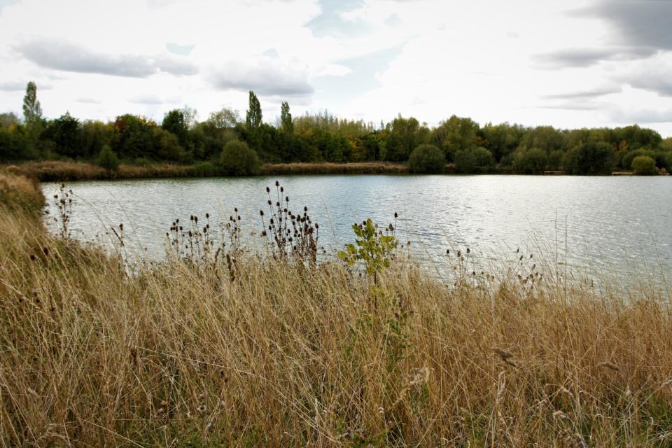 Baulking Lake - Embryo Angling